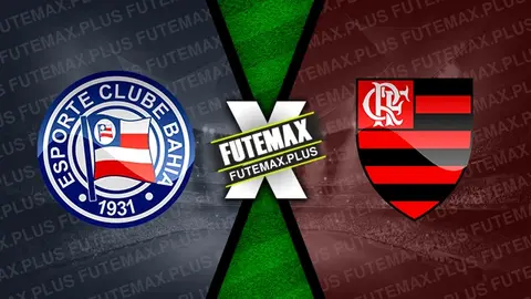 Assistir Bahia x Flamengo ao vivo HD 28/08/2024