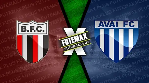 Assistir Botafogo-SP x Avaí ao vivo 18/11/2024 online