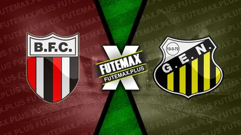 Assistir Botafogo-SP x Novorizontino ao vivo HD 27/05/2024 grátis