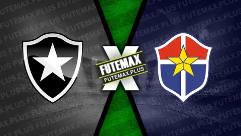 Assistir Botafogo x Fast Club ao vivo 02/01/2025 online