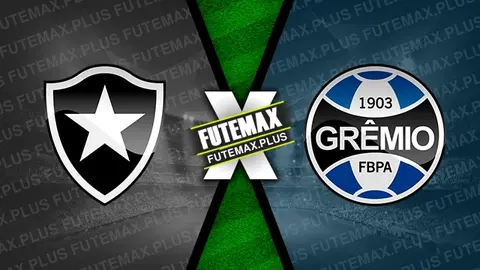 Assistir Botafogo x Grêmio ao vivo online HD 28/09/2024