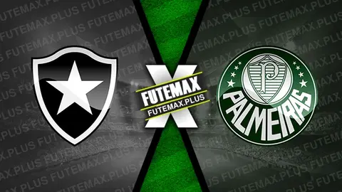 Assistir Botafogo x Palmeiras ao vivo HD 17/07/2024