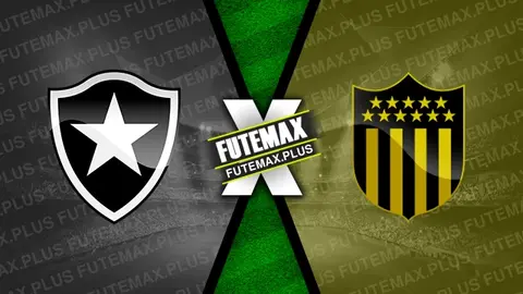 Assistir Botafogo x Peñarol ao vivo 23/10/2024 grátis