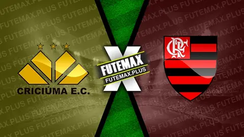 Assistir Criciúma x Flamengo ao vivo online 04/12/2024