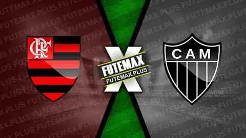 Assistir Flamengo x Atlético-MG ao vivo HD 13/11/2024 grátis