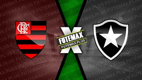 Assistir Flamengo x Botafogo ao vivo online HD 02/05/2024