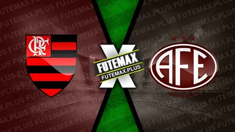 Assistir Flamengo x Ferroviária ao vivo 11/02/2024 grátis