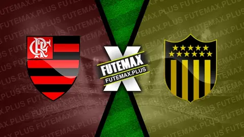 Assistir Flamengo x Peñarol ao vivo online 19/09/2024