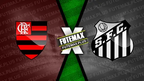 Assistir Flamengo x Santos ao vivo online HD 29/04/2024