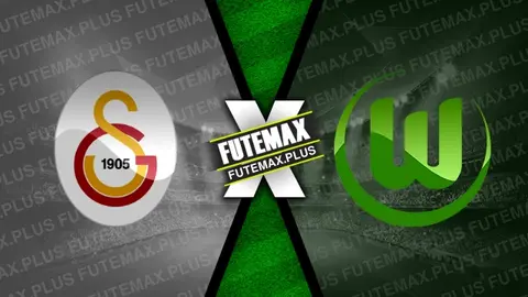 Assistir Galatasaray x Wolfsburg ao vivo HD 13/11/2024 grátis