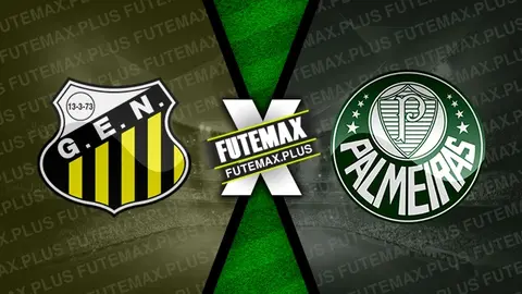 Assistir Novorizontino x Palmeiras ao vivo online HD 21/01/2024