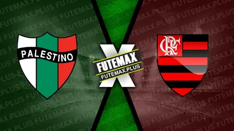 Assistir Palestino x Flamengo ao vivo online HD 07/05/2024