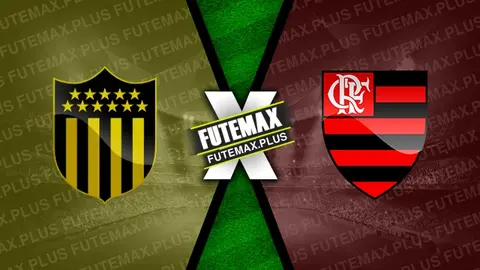 Assistir Peñarol x Flamengo ao vivo HD 26/09/2024 grátis