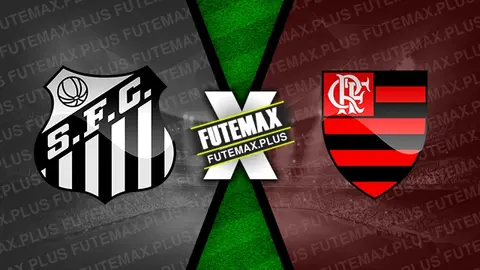 Assistir Santos x Flamengo ao vivo 24/04/2024 grátis