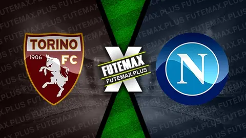 Assistir Torino x Napoli ao vivo 01/12/2024 online